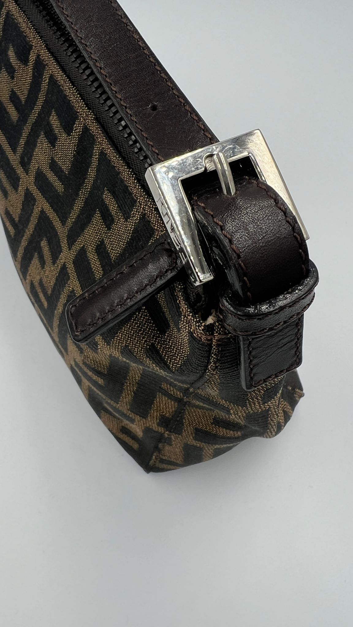Fendi Zucca Bag