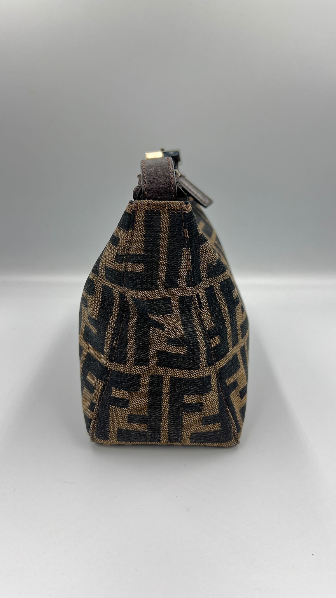Fendi Zucca Bag